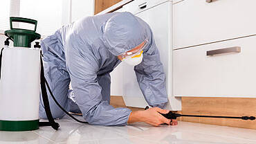 Απεντομωση