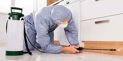 Απεντομωση