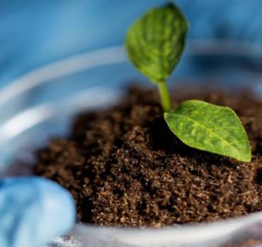 Βιολογικη Καταπολεμηση