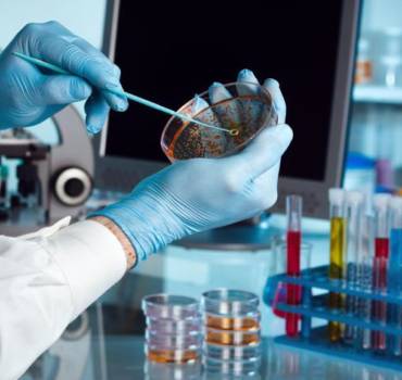 Μικροβιοκτoνια