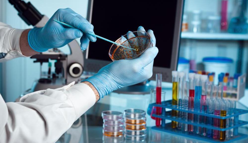 Μικροβιοκτoνια